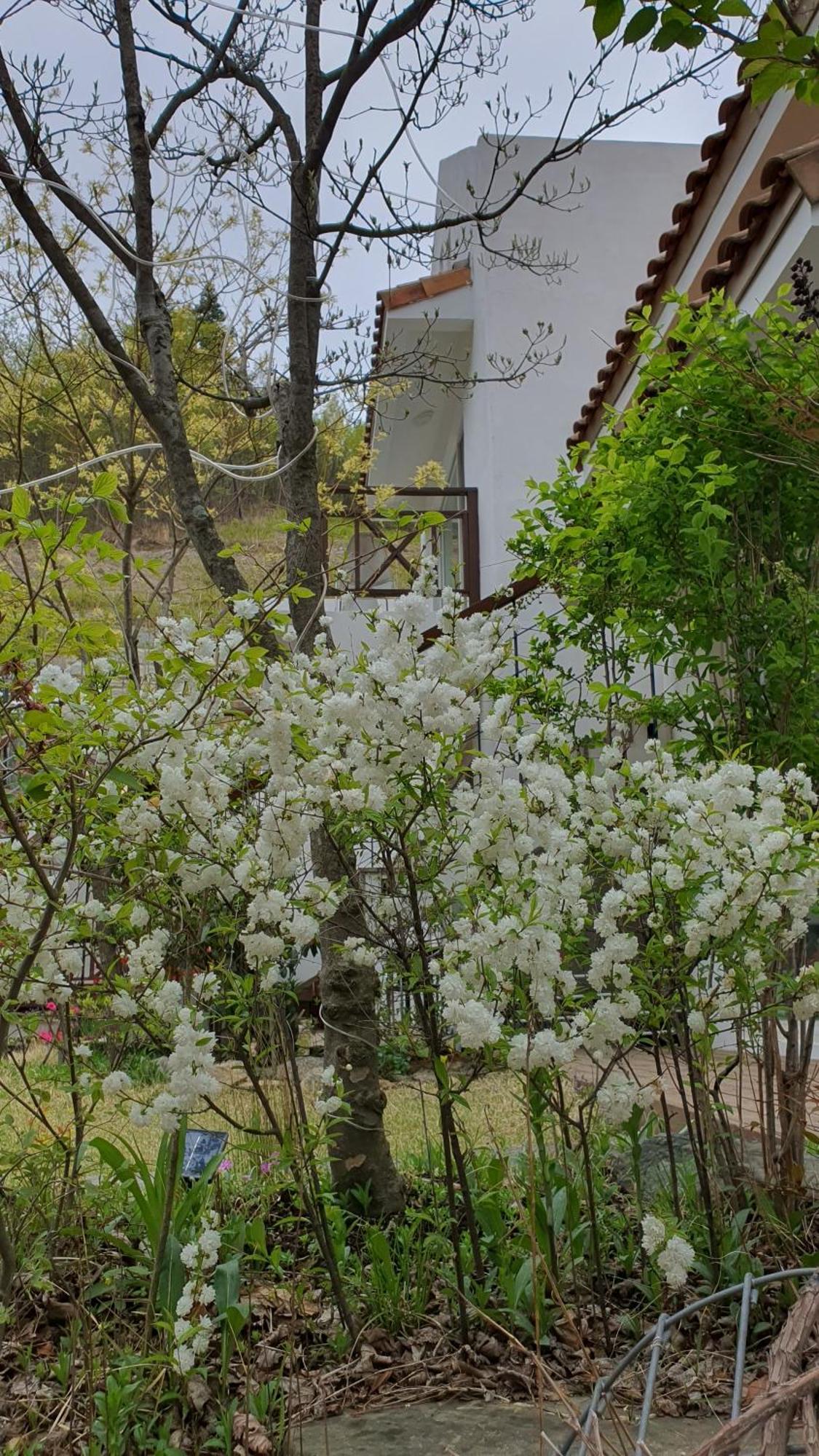 Saint Paul De Vence Villa Дамянг Стая снимка