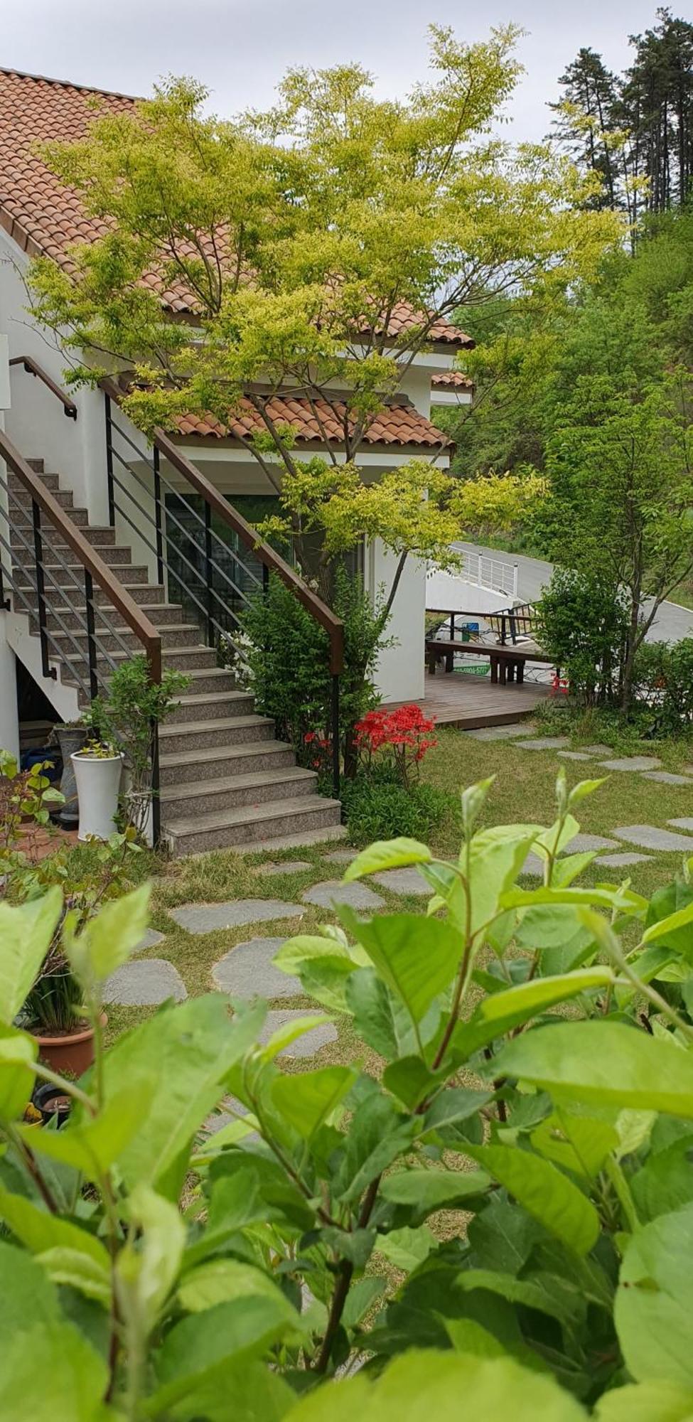 Saint Paul De Vence Villa Дамянг Стая снимка