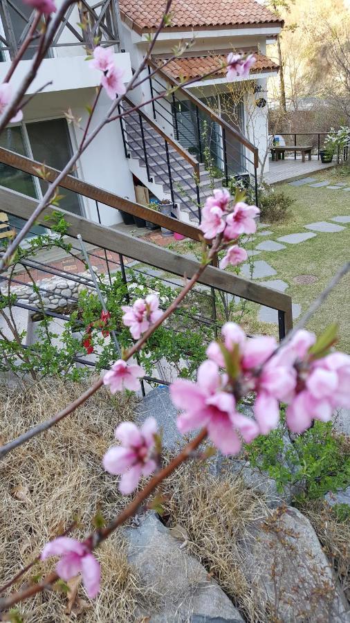 Saint Paul De Vence Villa Дамянг Екстериор снимка